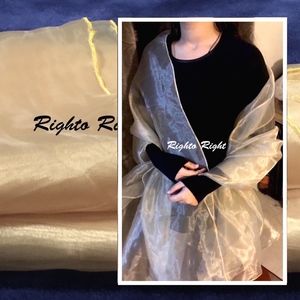 Organza Wrap / Gold Dupatta / Nude Shawl